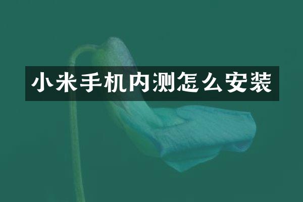 小米手机内测怎么安装