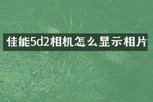 佳能5d2相机怎么显示相片