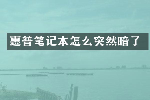 惠普笔记本怎么突然暗了