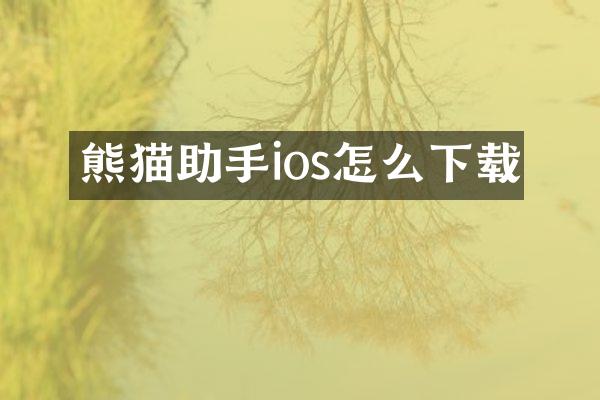 熊猫助手ios怎么下载