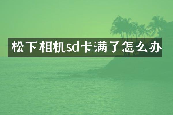 相机sd卡满了怎么办