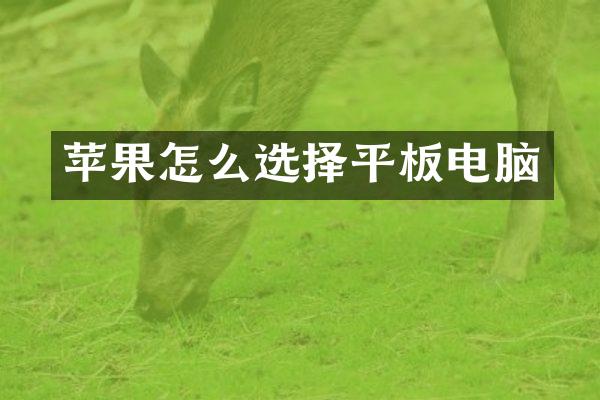 苹果怎么选择平板电脑