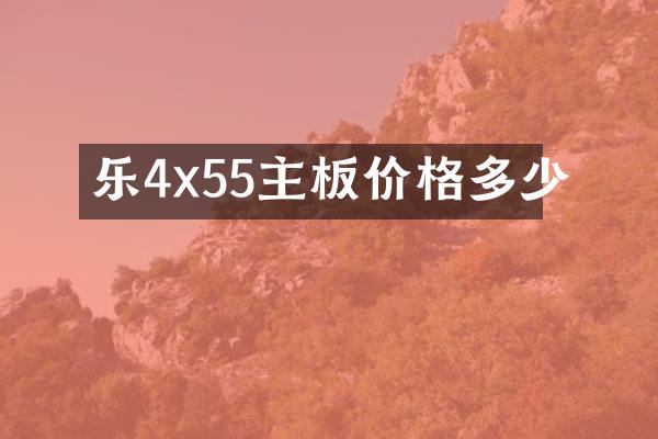 乐4x55主板价格多少
