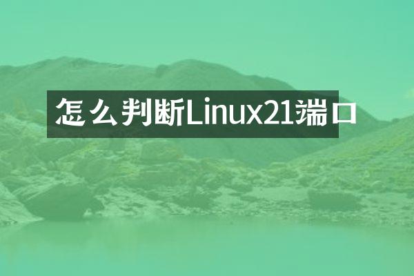 怎么判断Linux21端口