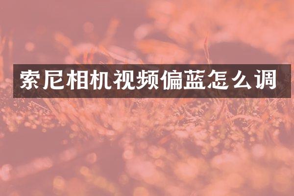 相机视频偏蓝怎么调