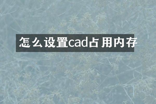 怎么设置cad占用内存