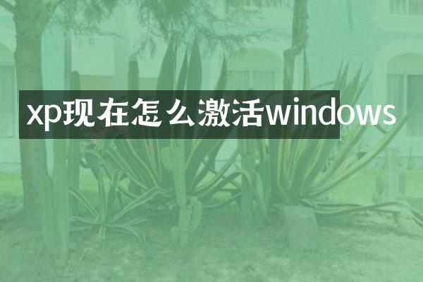 xp现在怎么激活windows