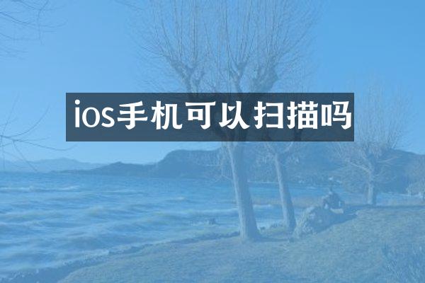 ios手机可以扫描吗