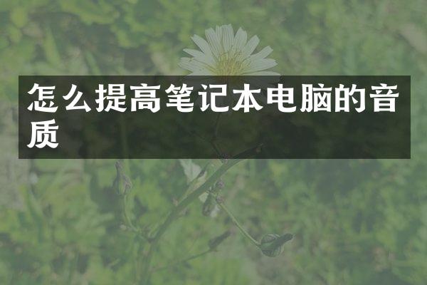 怎么提高笔记本电脑的音质