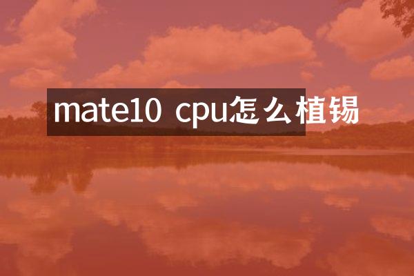 mate10 cpu怎么植锡