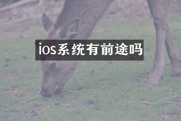 ios系统有前途吗