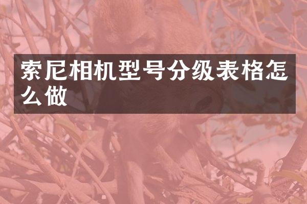 相机型号分级表格怎么做