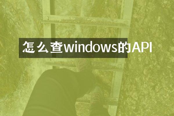 怎么查windows的API