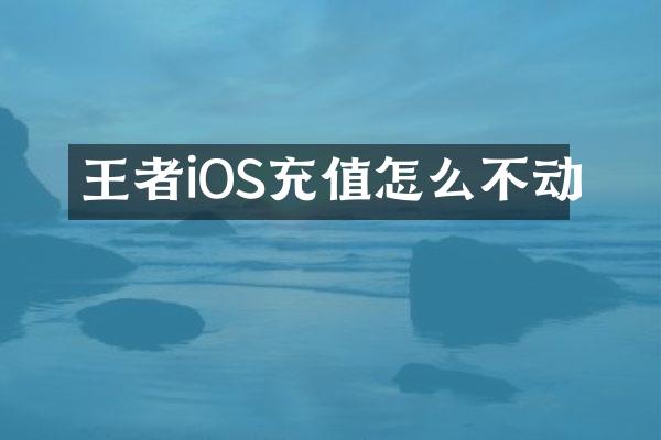 王者iOS充值怎么不动