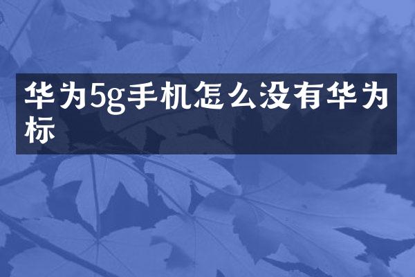 华为5g手机怎么没有华为商标