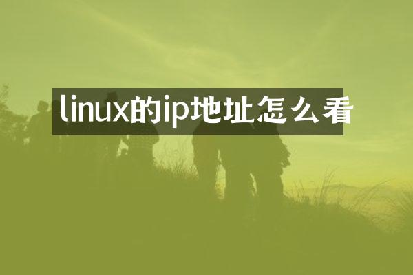 linux的ip地址怎么看
