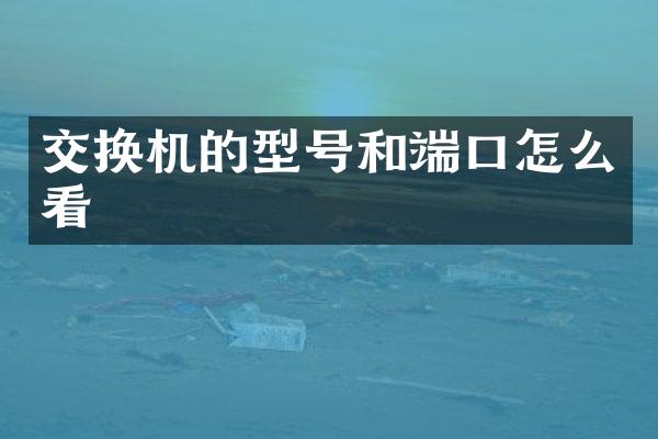 交换机的型号和端口怎么看