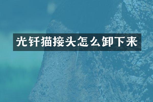 光钎猫接头怎么卸下来
