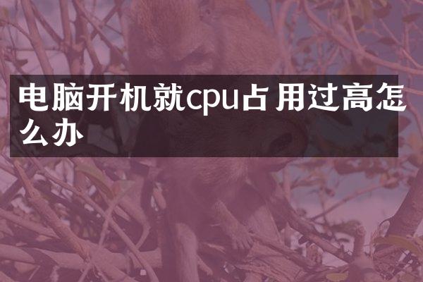 电脑开机就cpu占用过高怎么办