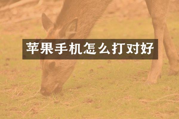 苹果手机怎么打对好