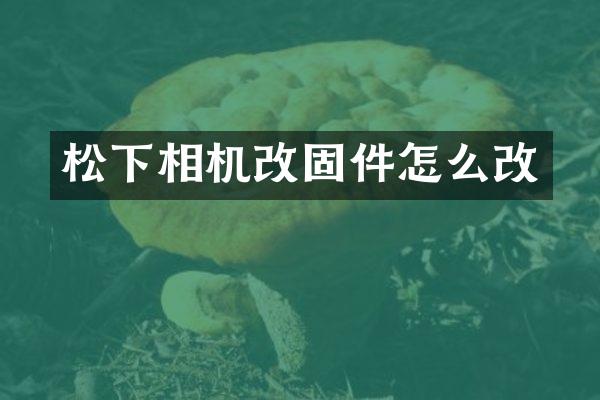相机改固件怎么改