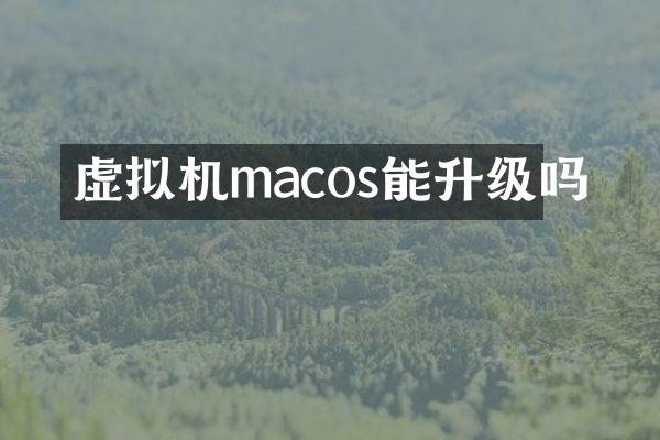 虚拟机macos能升级吗