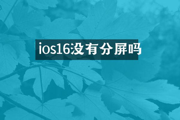 ios16没有分屏吗