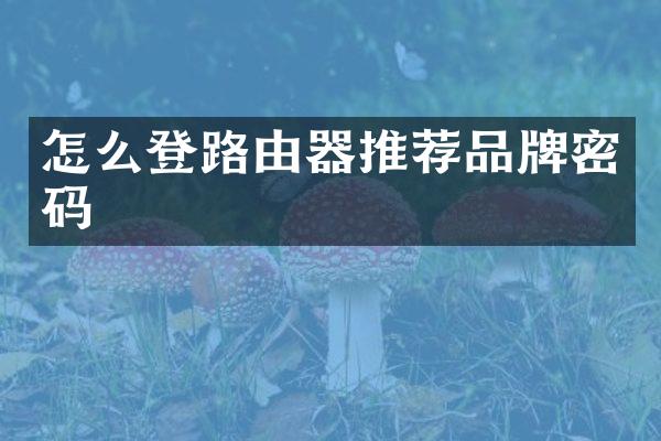 怎么登路由器推荐品牌密码