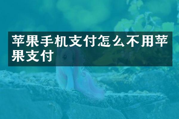 苹果手机支付怎么不用苹果支付