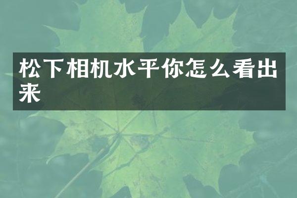 相机水平你怎么看出来