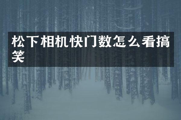 相机快门数怎么看搞笑