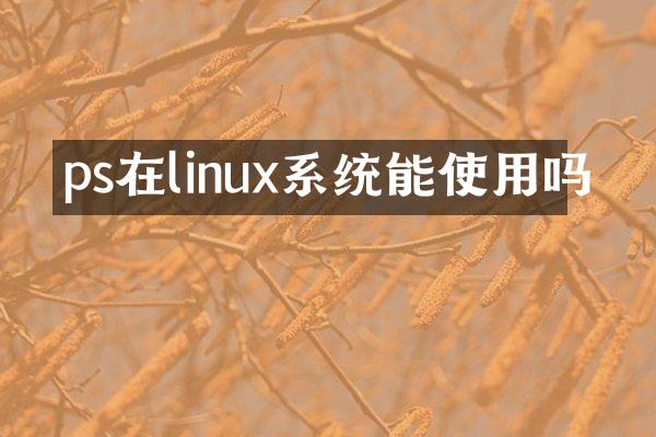 ps在linux系统能使用吗