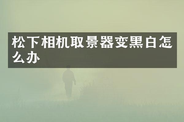 相机取景器变黑白怎么办