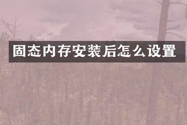 固态内存安装后怎么设置