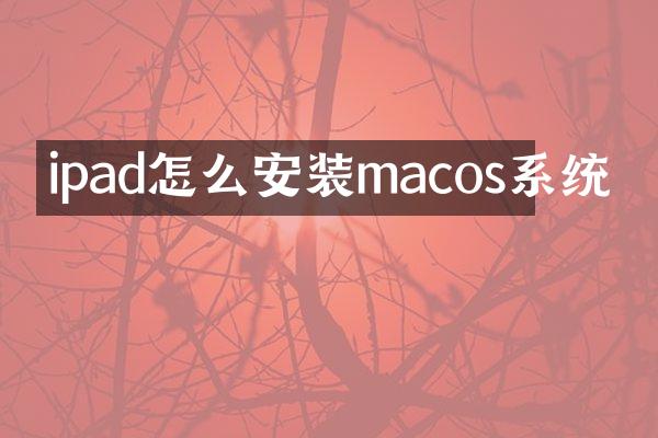 ipad怎么安装macos系统