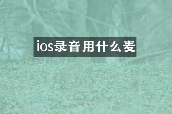 ios录音用什么麦