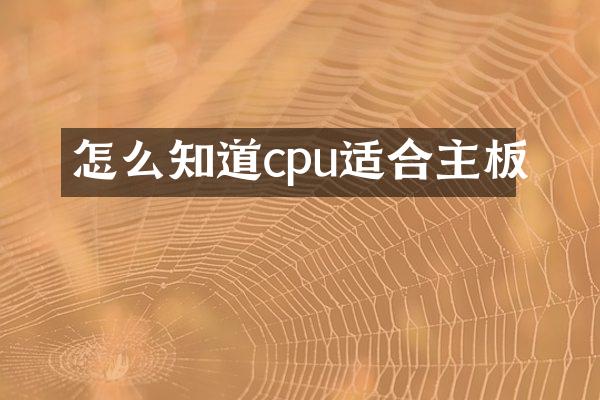 怎么知道cpu适合主板