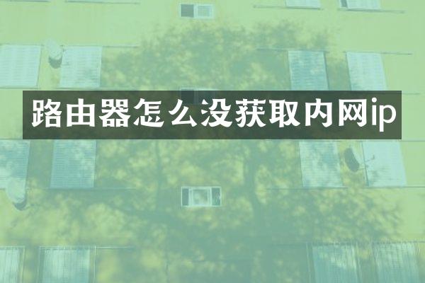 路由器怎么没获取内网ip
