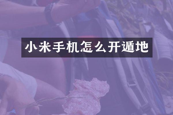 小米手机怎么开遁地
