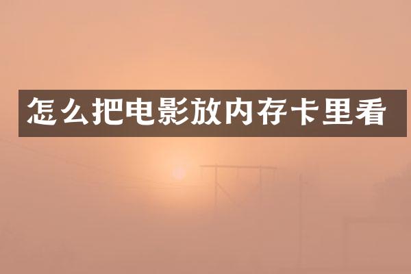怎么把电影放内存卡里看