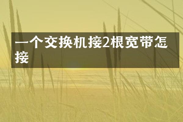 一个交换机接2根宽带怎么接