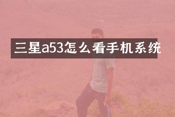 三星a53怎么看手机系统
