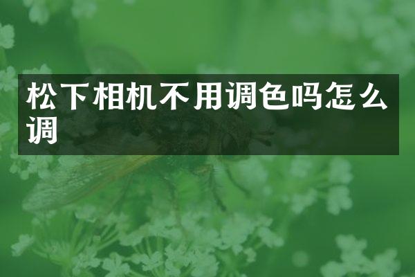 相机不用调色吗怎么调