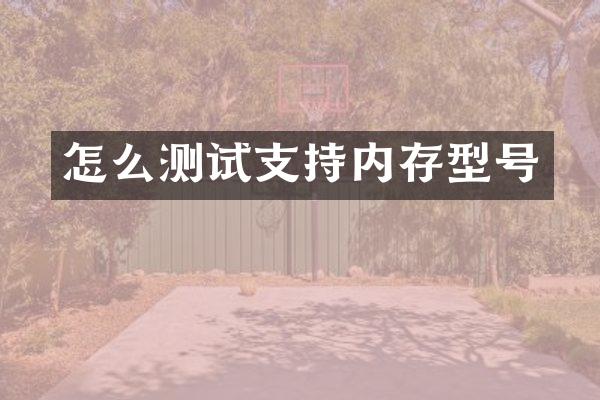 怎么测试支持内存型号