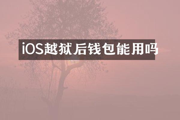 iOS越狱后钱包能用吗