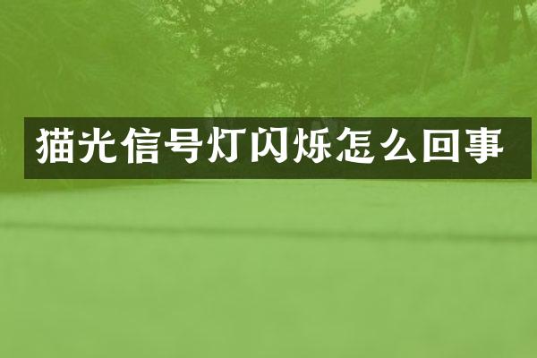 猫光信号灯闪烁怎么回事