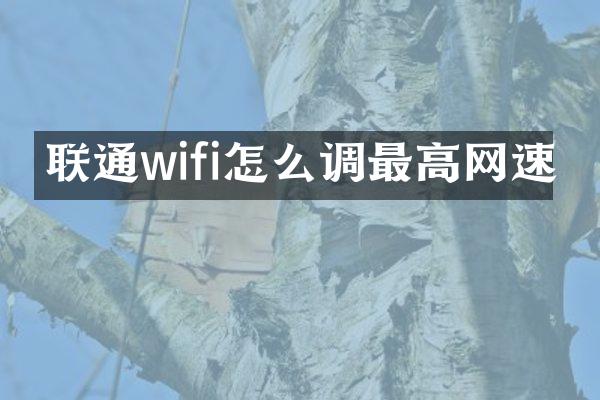 联通wifi怎么调最高网速