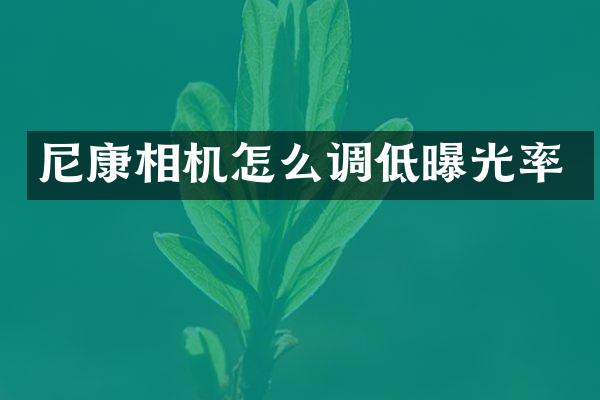 尼康相机怎么调低曝光率