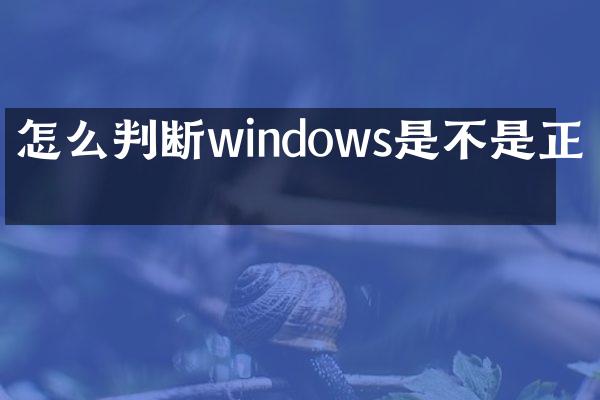 怎么判断windows是不是正版