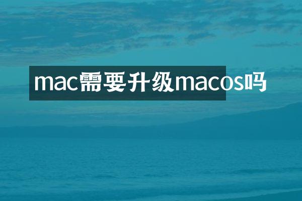 mac需要升级macos吗